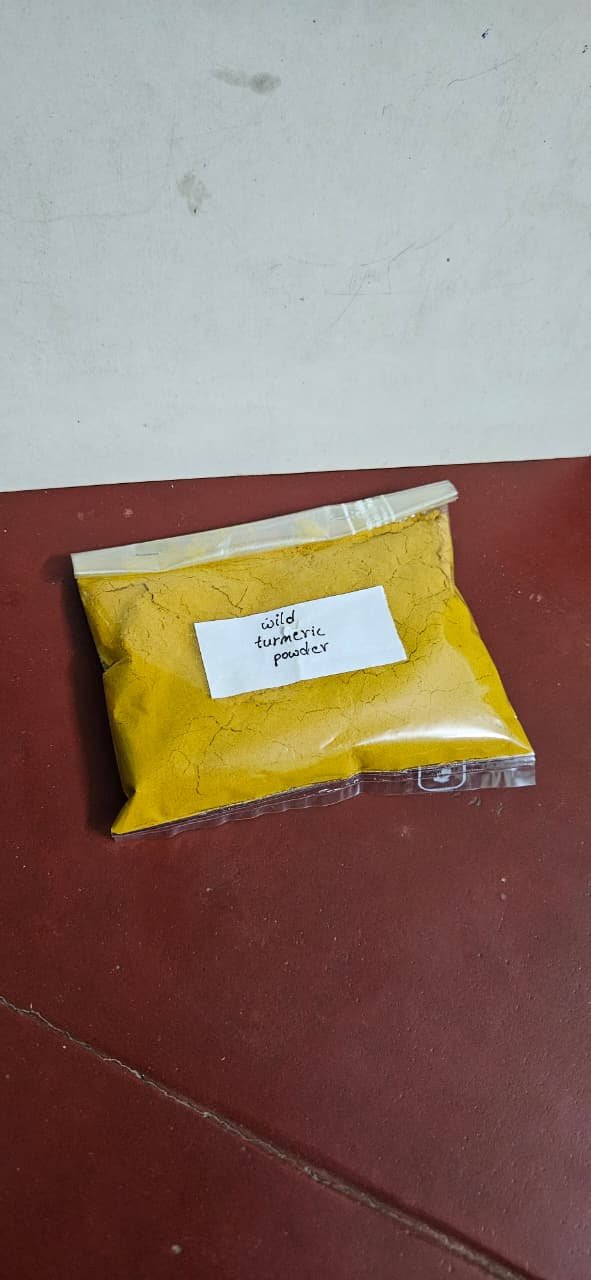 Wild Turmeric For Face & Body